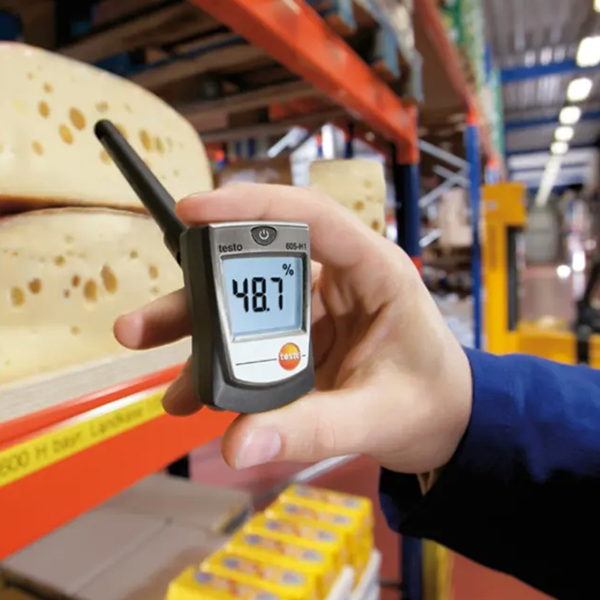 TESTO 605-H1 - TERMOHIGROMETRO