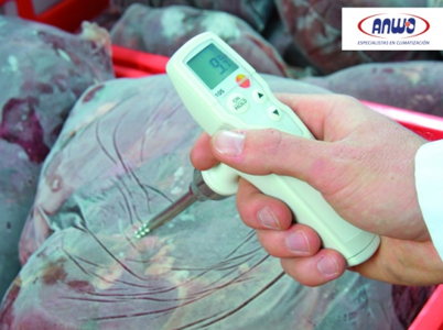 TESTO 105 -TERMOMETRO CONGELADOS SET BASICO