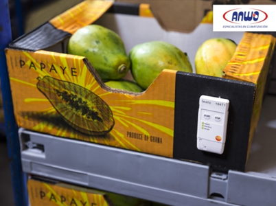 TESTO 184 T1 - DATALOGGER TRANSPORTE DESECHABLE - 90 DIAS