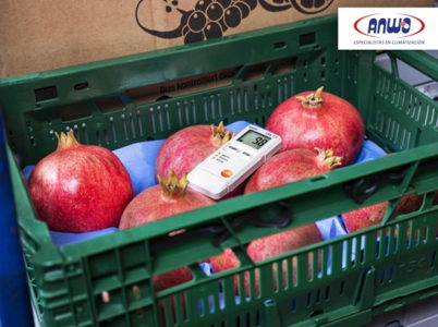 TESTO 184 T3 - DATALOGGER DE TRANSPORTE REUTILIZABLE