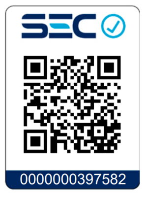 CALDERA RX 26 CE PVA IONO    ESTANQUE EXP. + BOMBA