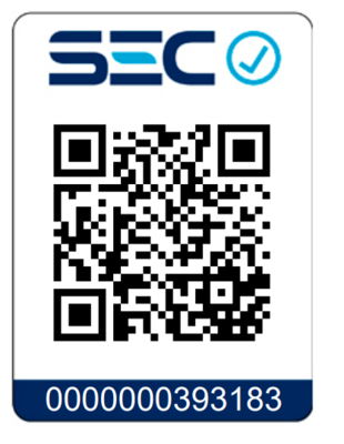 CALDERA ANWO AQUA PLUS 2.0 40/42 LPG