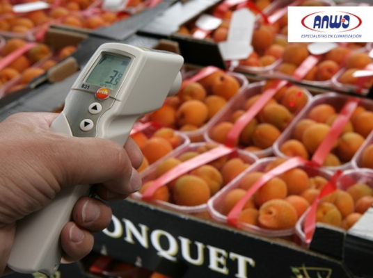 TERMOMETRO INFRARROJO PARA ALIMENTOS (HACCP) TESTO 831