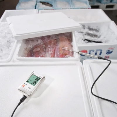 Datalogger de temperatura de dos canales TESTO 175 T2