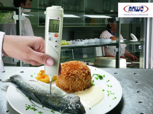 TERMOMETRO PUNZON CON TOPSAFE IP 67 TESTO 106